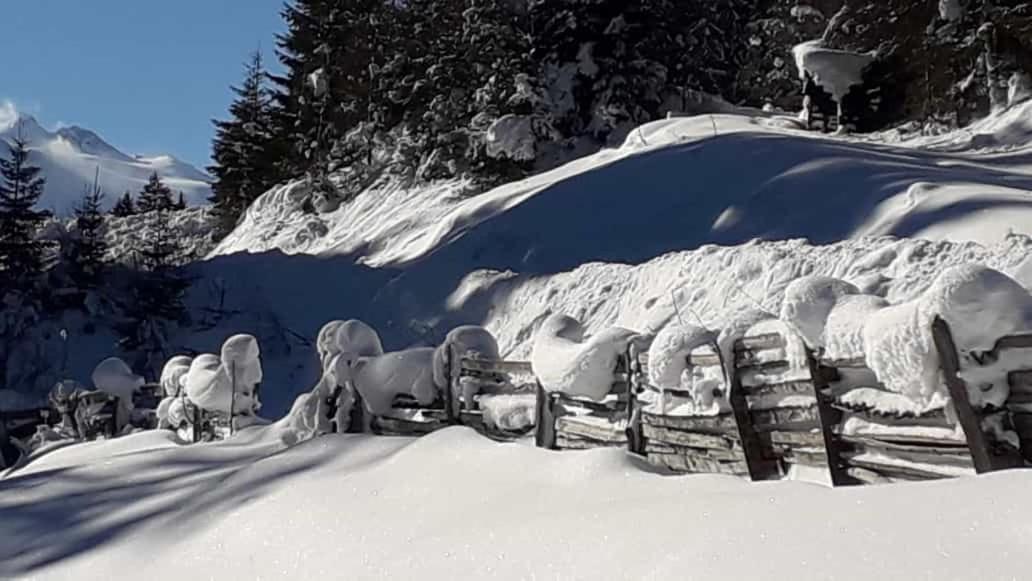 Jasmin Neustift im Stubaital
